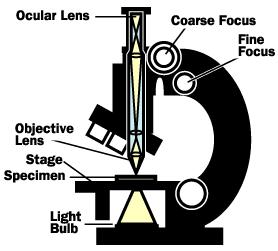 The compound microscope invented around 1590 by Zacharias Janssen provides high magnification for nearby objects.