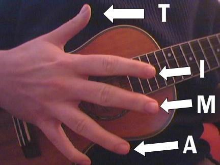 Or like this: Most beginners will likely strum one of these two ways.