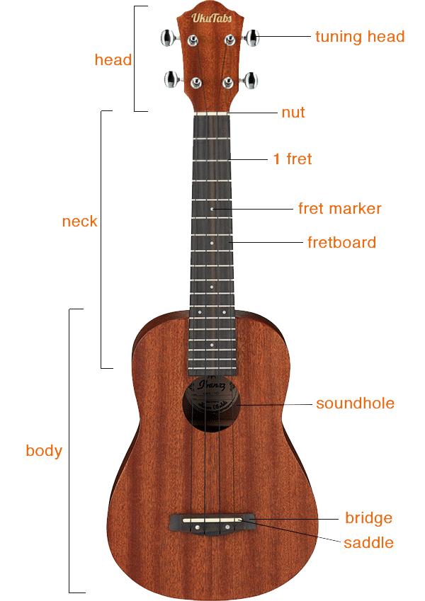 The basic nomenclature of the ukulele is shown below.