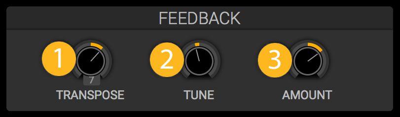 FEEDBACK The FEEDBACK module is a very quick delay line/comb filter inserted into each voice.