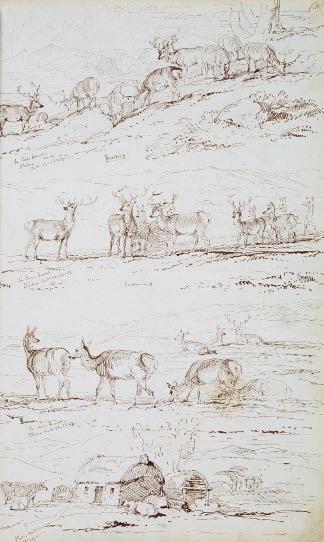 49 James Giles Sketchbook, 1848 56 Quarterbound sketchbook with black leather spine, marbled binding, 115 folios, open at fol. 31 Pen and ink 41.4 x 26.8 x 1.