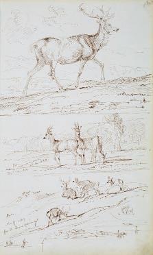 This sketchbook contains working studies in ink by James Giles, dated between 17 February 1848 and the end of September 1856.
