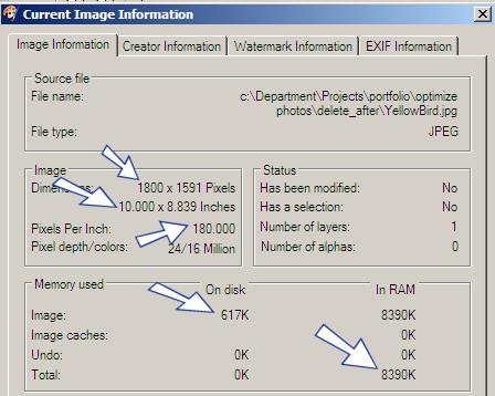 the pixels per inch (ppi) of 180 (setting of camera when photo was taken - 150 pixels per inch will provide photograph quality when printing. This could have been set as high as 300 ppi).