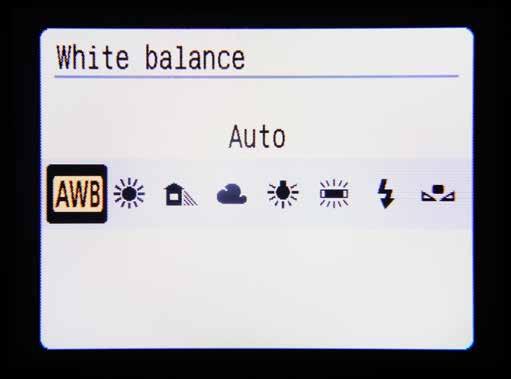 The final setting common to all cameras is Automatic White Balance (usually called simply AWB), which automatically sets what it considers to be the right white balance according to the lighting