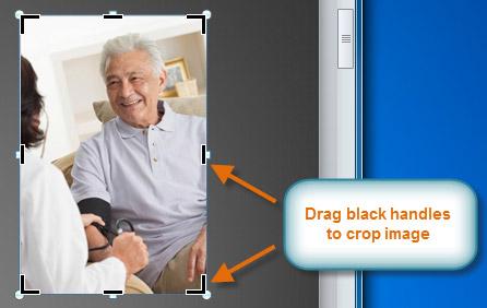 The black cropping handles 4. Click and drag a handle to crop an image. 5. Click the Crop command to deselect the crop tool.