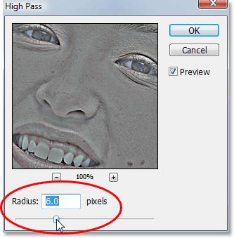 preview area in the dialog box, you'll see more and more areas of the image become affected by the filter, starting with only the finest details and then gradually expanding to include more and more