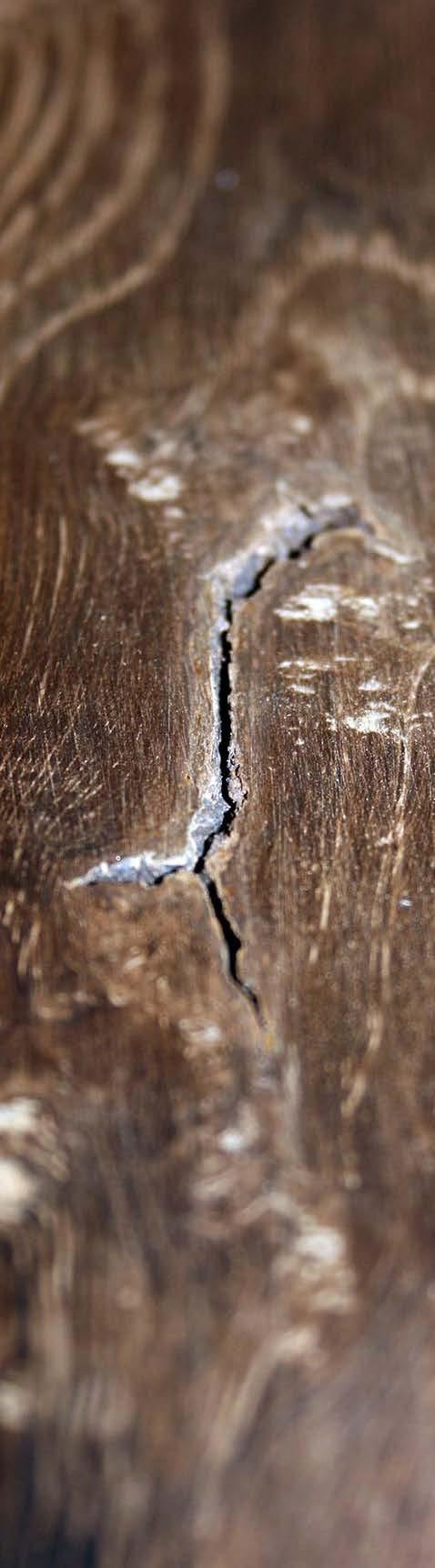 The importance of wood repair Wood is a product of nature. This means that there are natural signs of the environment and weather.