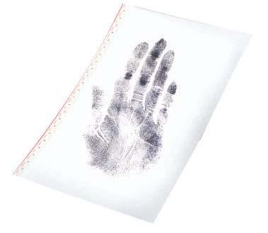 .. 6 Transparent Lifters with Covers Palm Print Lifters These 6" x 9" palm print lifters are large enough to lift an entire hand print!