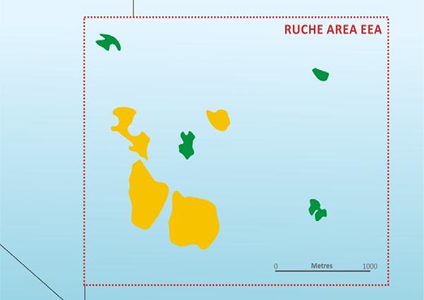4 EXISTING DISCOVERIES JUST THE BEGINNING Moubenga Ruche Walt Whitman Ruche Area EEA Tortue Ruche Area EEA Discoveries and Prospects Potential to be World Class asset In total 13