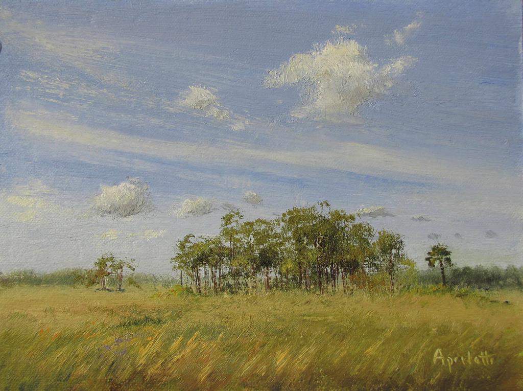 Big Cypress, October 2015, oil, 6 x 8 in. in North Carolina. Also, if there aren t many diagonal lines, I can use grasses with the wind blowing them to get some diagonals in a painting.