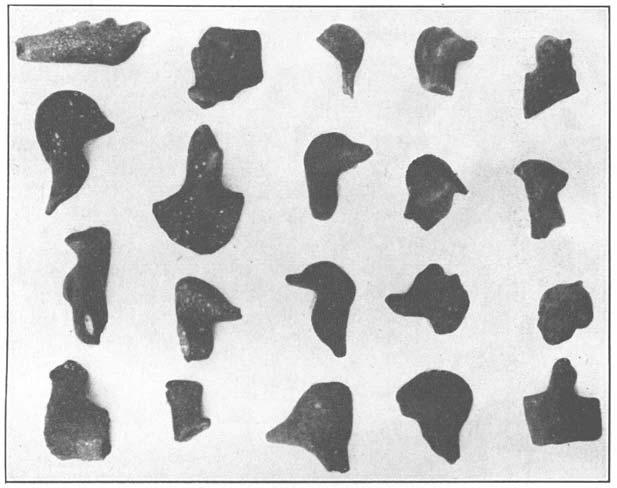 POTTERY 283 FIG. 169. ZOOMORPHIC POTTERY. In which may be recognized the attempt to portray the heads of various animals and birds.