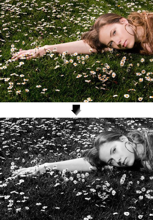Photoshop CS and Photoshop Elements 1. Press D to reset the foreground and background colours to black and white. 2.