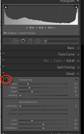 STEP #16 - LUMINANCE slider - we start with the noise reduction first prior to the sharpening. This slider affects the brightness of pixels but not the colour. The default setting is zero.