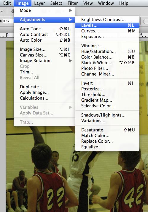 . Image > Adjustments > Levels. Click and hold the drop-down menu for Channel and choose Red.