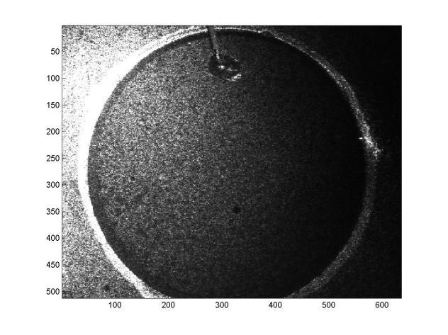 2. Average diameter of the speckle grains: Here we show our experimentally results that the characteristic size of grains of speckle depends only on the diameter of