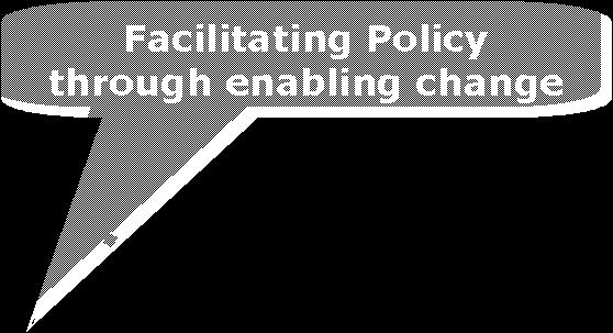 Policy Foresight process Actor Shared information as an input to decision making for