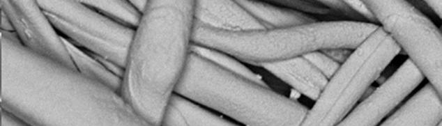 layer to >1µm