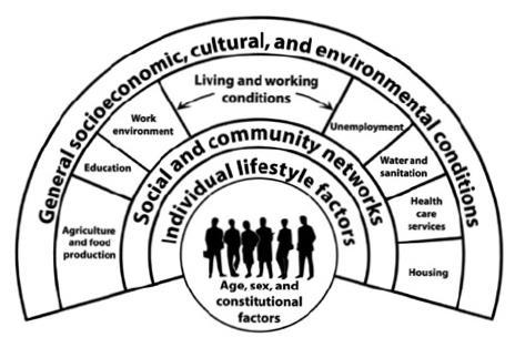 CONCLUSION Scenario work and microsimulation for targeting health issues of the future Universal approach to health Social determinants Further policy options are developed