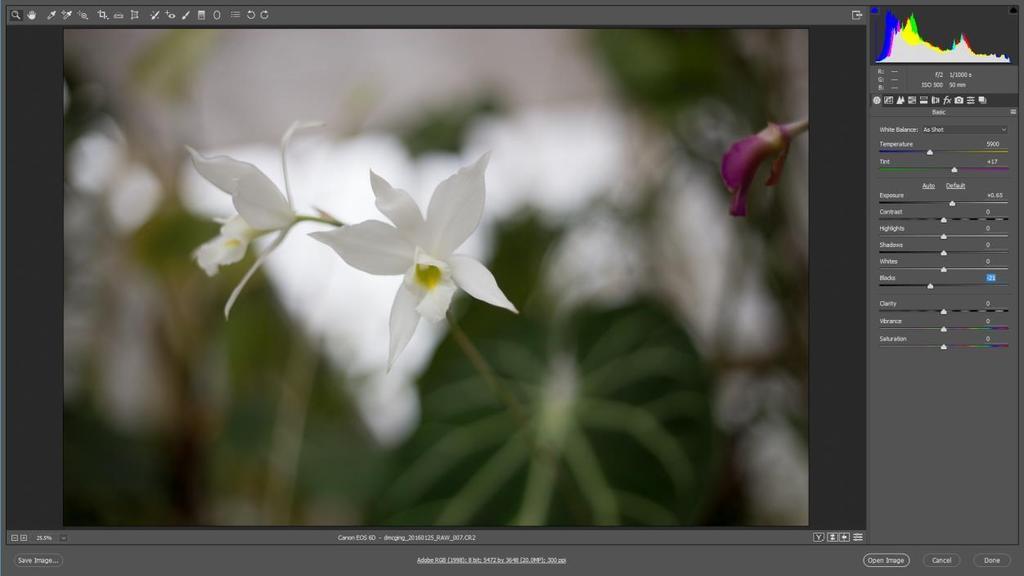 What is Adobe Camera Raw? Adobe Camera Raw lets you import, enhance, and process Raw image files.