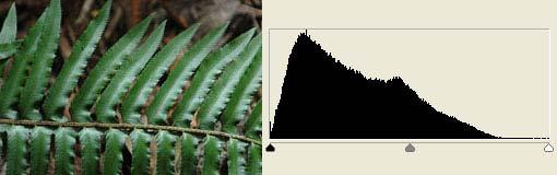 Here's the 10-second definition: A histogram is a graphic display of the light and dark elements in your photo. OK, but what makes a histogram so useful?