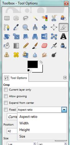 Using the Crop Tool Options You can use the Crop Tool in a more