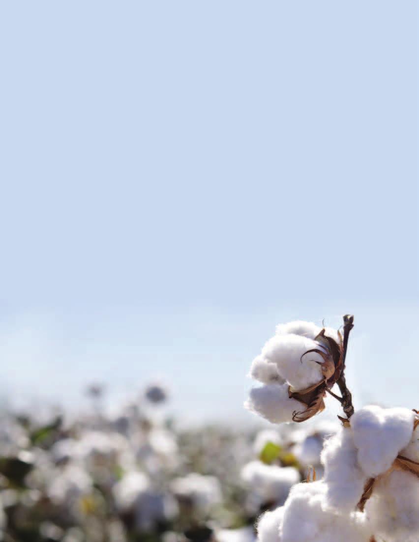 U.S. and World Cotton Economic Outlook September 2012 August 1 marks the beginning of the new crop year with regards to USDA s statistical reporting. The new U.S. crop, estimated currently at 17.