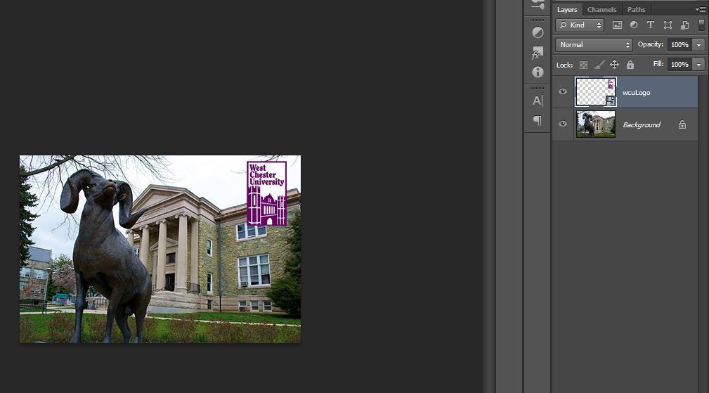 Adding In More Images Photoshop projects can have multiple images by separating them into different layers.