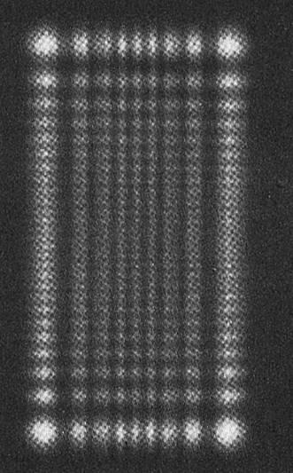 Fresnel diffraction patterns 2 19