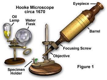 Microscopy (OM) Old &