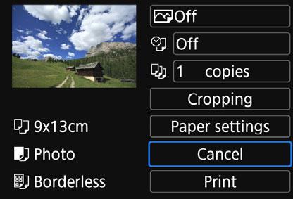 Print Settings Specify settings for printing as necessary. The screen display and setting options will differ depending on the printer. Some settings may not be available.