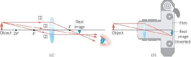 26.7 The Formation of Images by Lenses IMAGE FORMATION BY A CONVERGING LENS In this example, when the object is