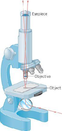 26.12 The Compound Microscope To increase the angular magnification beyond that possible with a magnifying glass, an