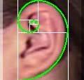 Frame Placement The Golden Spiral Connect the key ypoints with a