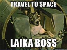 This true cause was not made public until 2002 previous reports indicated that Laika had