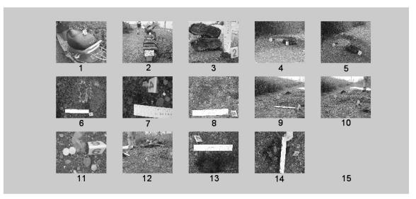 15 Retrieval of crime scene images by the