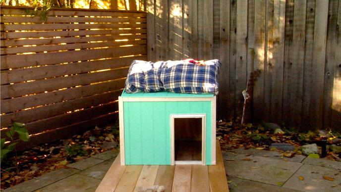 Overview: Elizabeth's dog house is constructed in a shed style that fits most
