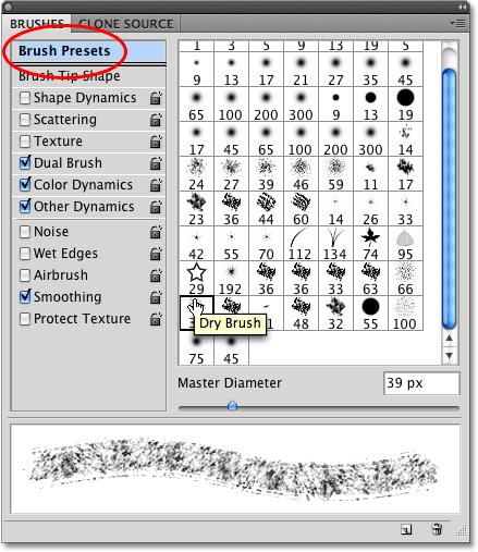 Click on a brush to select it. A preview of the brush stroke will appear at the bottom of the Brushes panel. Step 10: Stroke The Path With The Brush Let s see how this brush looks as a photo border.