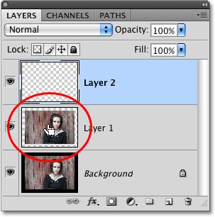 Hold down Ctrl (Win) / Command (Mac) and click on the layer preview thumbnail for Layer 1.