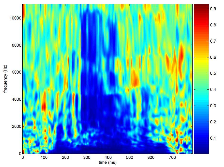 time-frequency periodicity map, which captures the spectral shape of the noise and also its