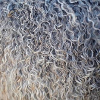 What happens to my fleece? What products can I get from it?