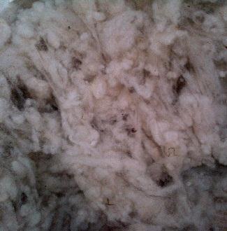 Dried fleece can be stored indefinitely and we always have a store of suitable breeds and colours, along with silk, nylon, flax, etc., for blending or adding to batches if required.