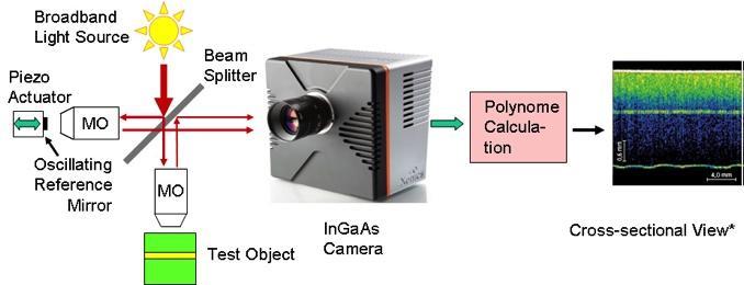 Full Field IR OCT (I) 2D sensor camera allows full-field OCT - Tomographic images orthogonal to the