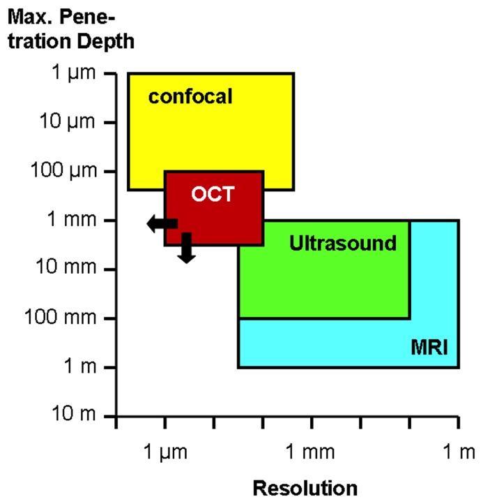 Introduction : What is OCT (II) Very similar to ultrasound - Use fs light pulses instead of sound - Perform optical ranging Provides high resolution