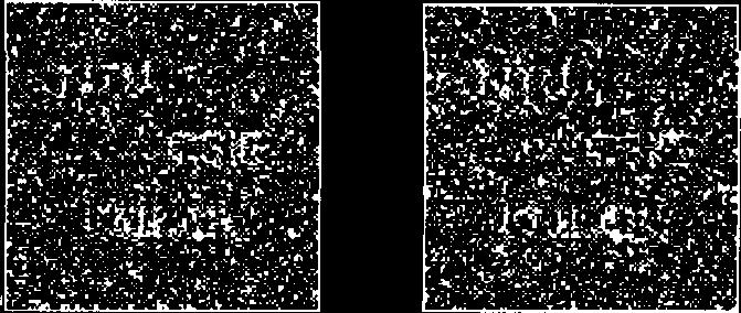 j=0 [W (i; j)] 2 Fig. 7. The extracted watermarks of JPEG compressed version of the watermarked image (Fig. 4), where with compression ratio 3.48 and NC = 0:777, with compression ratio 5.