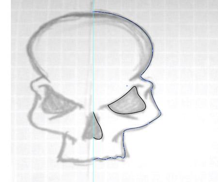 The illustration begins with a sketch with pencil and paper. Draw a centre line and pay close attention to the details of one side of the skull as this can be reflected in the digital stages.