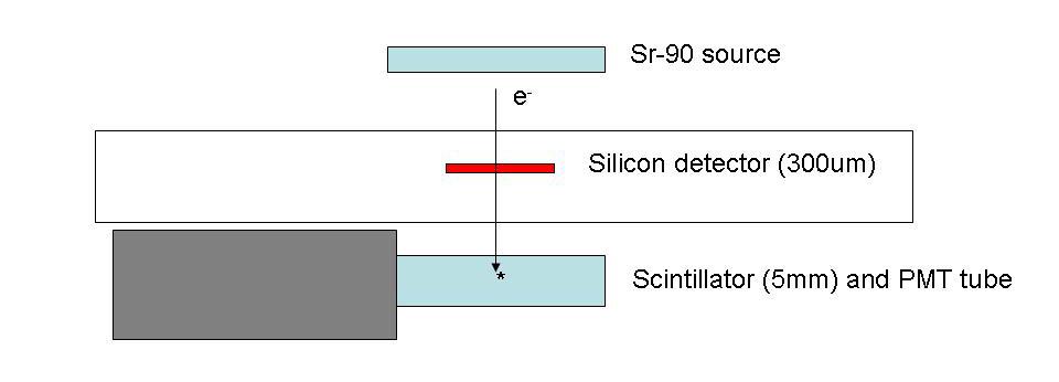 The absorption of the beta electron is described by via the Bethe-Bloch process: The set-up The electrons pass through the silicon and