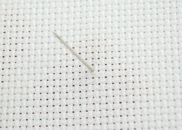 To start stitching, bring the needle from back to