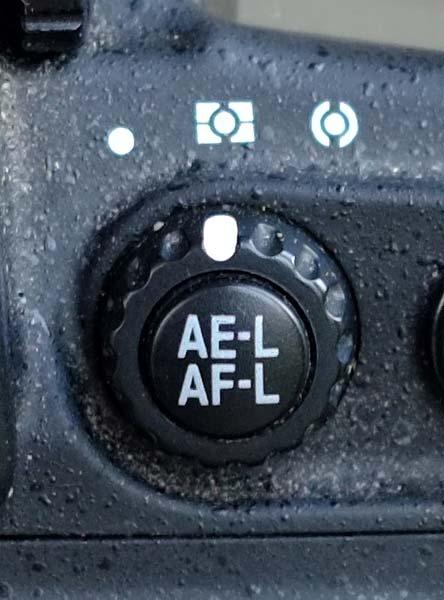 Exposure lock AE-L Either separate button or combined with AF-L. Menu normally allows you to select both, or just AF-L or just AE-L for the button.