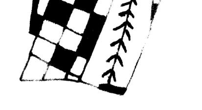One square is filled with color and the neighbouring squares are blank. Figure 8: Chequered Motifs Chequered design and flying birds are on the sides. The designs are painted without any precision.