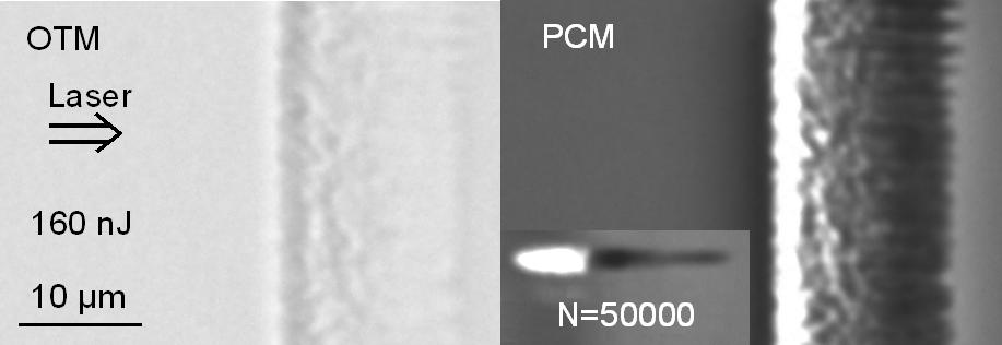 Figure 7.6: Optical transmission microscopy (OTM) and phase contrast microscopy (PCM) observations of a waveguide generated in a-sio 2 with a laser pulse duration of 130 fs.